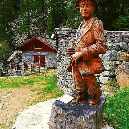 Ortensia * Antronapiana