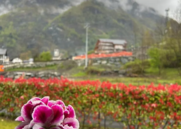 Ortensia Appartement