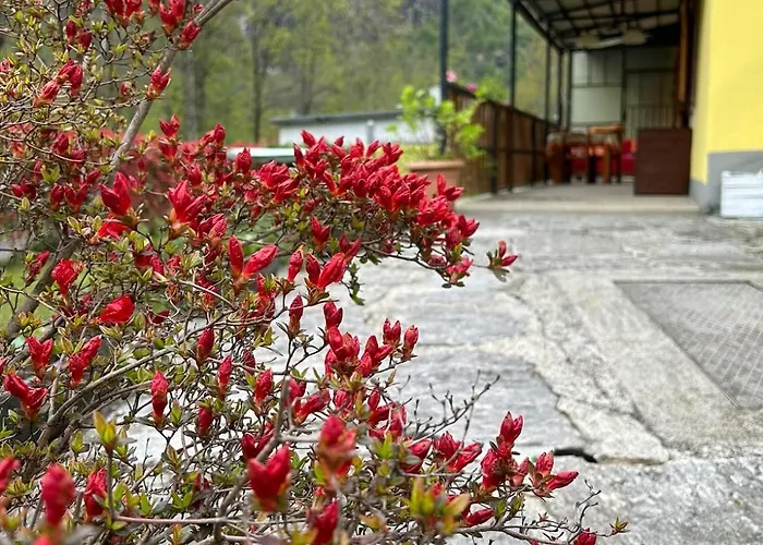 Ortensia Appartement Antronapiana